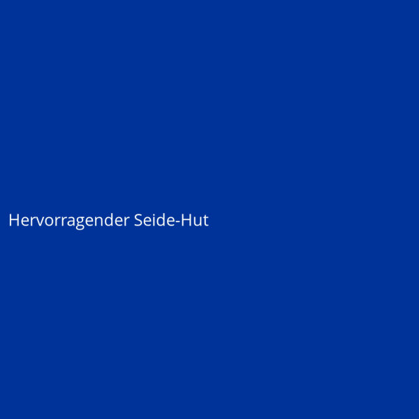 Hervorragender Seide-Hut