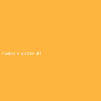 Rustikaler Elastan-BH