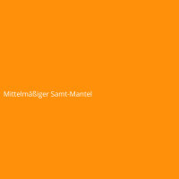 Mittelmäßiger Samt-Mantel