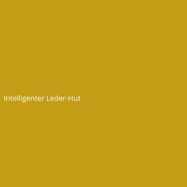 Intelligenter Leder-Hut